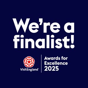 Visit England 2025 finalist logo