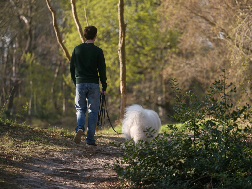 dog-friendly outings