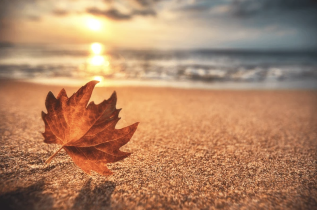 Autumn  Seaside Breaks in Dorset 