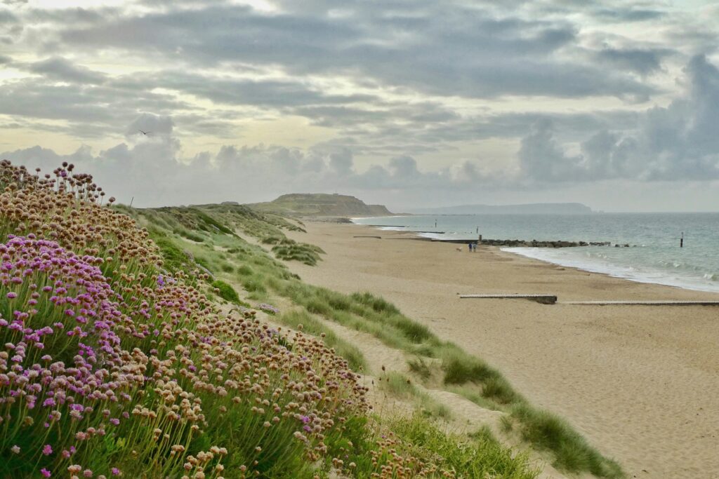 Why Guests Love Early Spring Beach Walks and Fresh Sea Air at Marsham Court