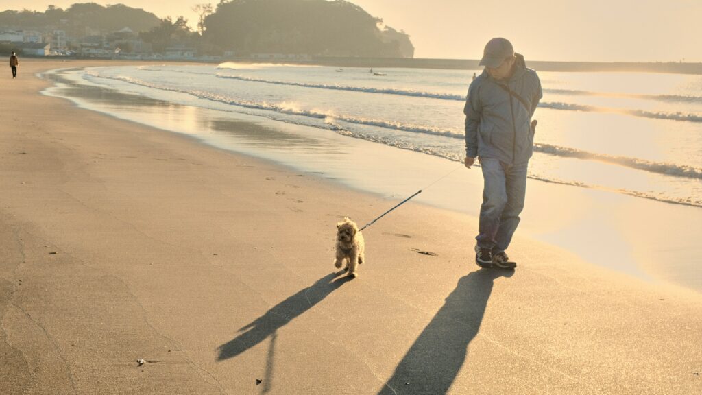 Walk with dog on spring breaks