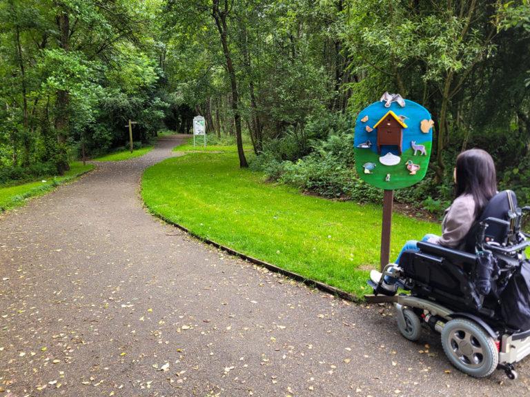 Accessible Days Out Around Bournemouth Worth Planning Around